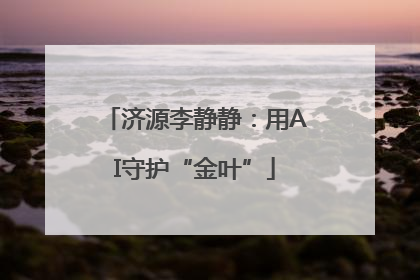 济源李静静：用AI守护“金叶”