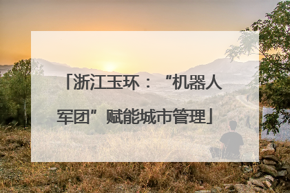 浙江玉环：“机器人军团”赋能城市管理