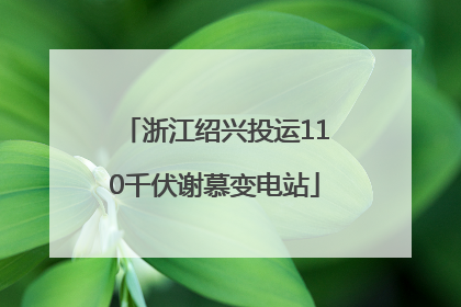 浙江绍兴投运110千伏谢慕变电站