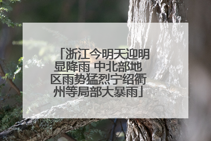 浙江今明天迎明显降雨 中北部地区雨势猛烈宁绍衢州等局部大暴雨