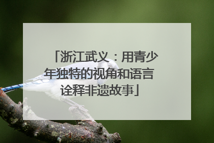 浙江武义：用青少年独特的视角和语言诠释非遗故事