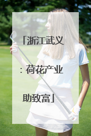浙江武义：荷花产业助致富