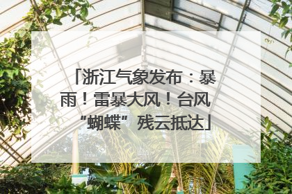 浙江气象发布：暴雨！雷暴大风！台风“蝴蝶”残云抵达