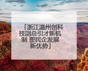 浙江温州创科技副总引才新机制 塑民企发展新优势