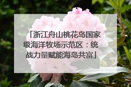浙江舟山桃花岛国家级海洋牧场示范区：统战力量赋能海岛共富