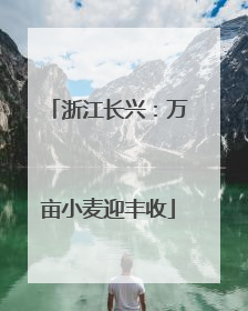 浙江长兴：万亩小麦迎丰收