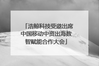 浩鲸科技受邀出席中国移动中资出海数智赋能合作大会