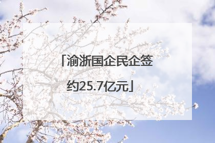 渝浙国企民企签约25.7亿元