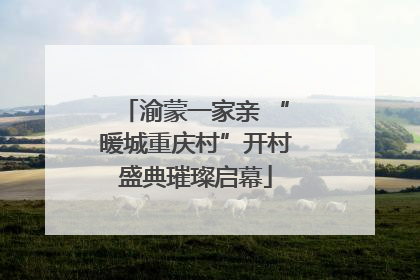 渝蒙一家亲 “暖城重庆村”开村盛典璀璨启幕
