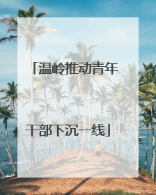 温岭推动青年干部下沉一线