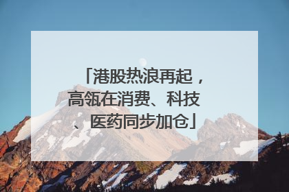 港股热浪再起，高瓴在消费、科技、医药同步加仓