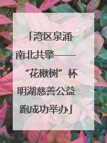 湾区泉涌·南北共擎——“花楸树”杯明湖慈善公益跑成功举办