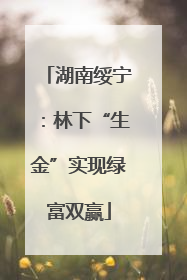 湖南绥宁：林下“生金”实现绿富双赢