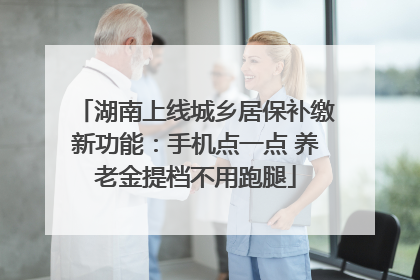 湖南上线城乡居保补缴新功能：手机点一点 养老金提档不用跑腿
