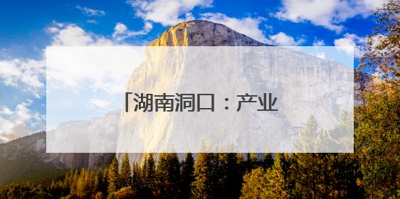 湖南洞口：产业提质增效 绘就乡村振兴新图景