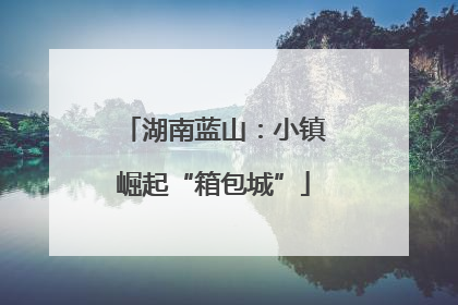 湖南蓝山：小镇崛起“箱包城”