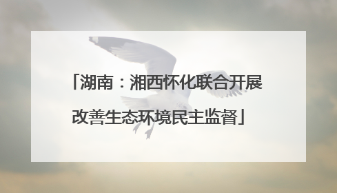 湖南：湘西怀化联合开展改善生态环境民主监督
