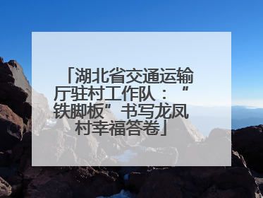 湖北省交通运输厅驻村工作队：“铁脚板”书写龙凤村幸福答卷