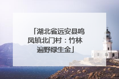 湖北省远安县鸣凤镇北门村：竹林遍野绿生金