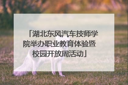 湖北东风汽车技师学院举办职业教育体验暨校园开放周活动