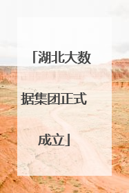湖北大数据集团正式成立