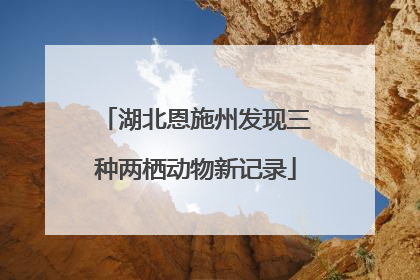 湖北恩施州发现三种两栖动物新记录