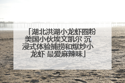 湖北洪湖小龙虾圈粉美国小伙埃文凯尔 沉浸式体验捕捞和爆炒小龙虾 最爱麻辣味
