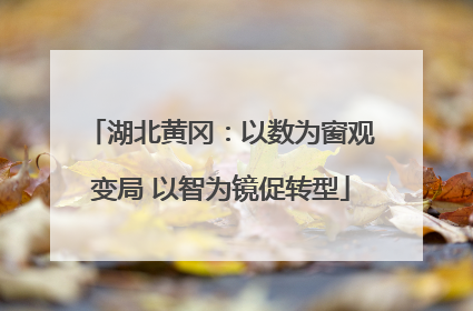 湖北黄冈：以数为窗观变局 以智为镜促转型