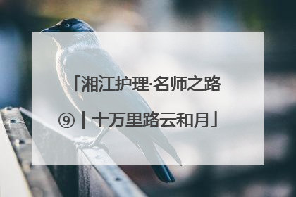 湘江护理·名师之路⑨｜十万里路云和月