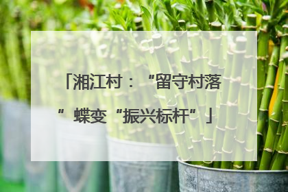 湘江村：“留守村落”蝶变“振兴标杆”