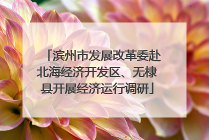 滨州市发展改革委赴北海经济开发区、无棣县开展经济运行调研