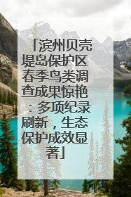 滨州贝壳堤岛保护区春季鸟类调查成果惊艳：多项纪录刷新，生态保护成效显著