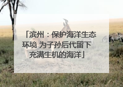 滨州：保护海洋生态环境 为子孙后代留下充满生机的海洋