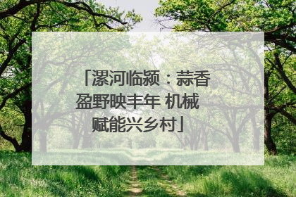 漯河临颍：蒜香盈野映丰年 机械赋能兴乡村