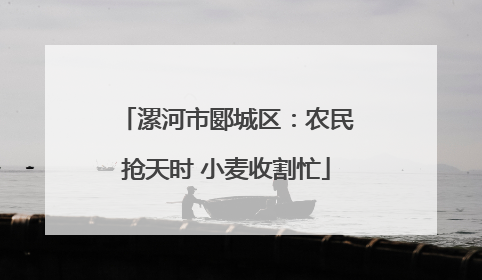 漯河市郾城区：农民抢天时 小麦收割忙