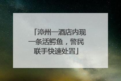 漳州一酒店内现一条活鳄鱼，警民联手快速处置