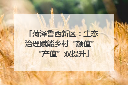 菏泽鲁西新区：生态治理赋能乡村“颜值”“产值”双提升