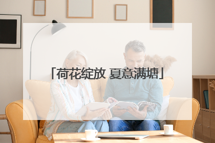 荷花绽放 夏意满塘