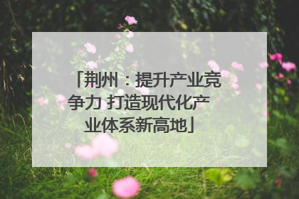 荆州：提升产业竞争力 打造现代化产业体系新高地