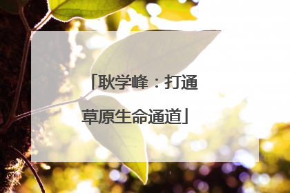 耿学峰：打通草原生命通道