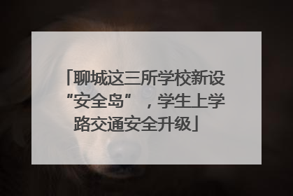 聊城这三所学校新设“安全岛”，学生上学路交通安全升级