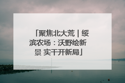 聚焦北大荒｜绥滨农场：沃野绘新景 实干开新局