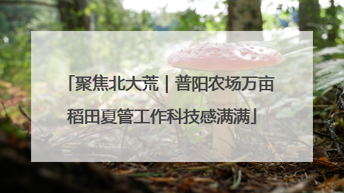 聚焦北大荒｜普阳农场万亩稻田夏管工作科技感满满