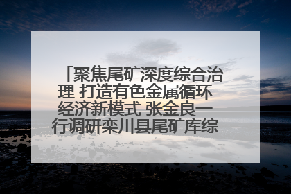 聚焦尾矿深度综合治理 打造有色金属循环经济新模式 张金良一行调研栾川县尾矿库综合治理工作