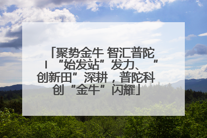 聚势金牛 智汇普陀〡“始发站”发力、“创新田”深耕，普陀科创“金牛”闪耀