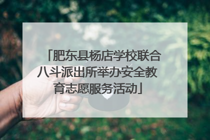 肥东县杨店学校联合八斗派出所举办安全教育志愿服务活动