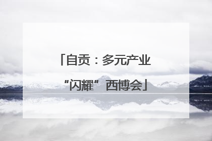 自贡：多元产业“闪耀”西博会