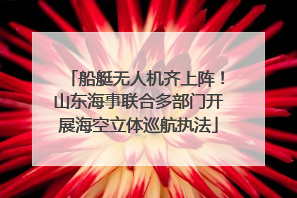 船艇无人机齐上阵！山东海事联合多部门开展海空立体巡航执法