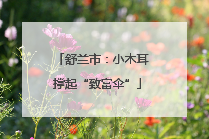 舒兰市：小木耳撑起“致富伞”
