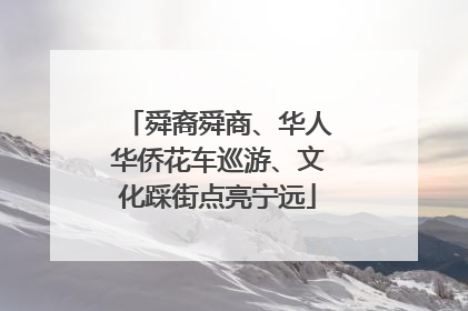舜裔舜商、华人华侨花车巡游、文化踩街点亮宁远